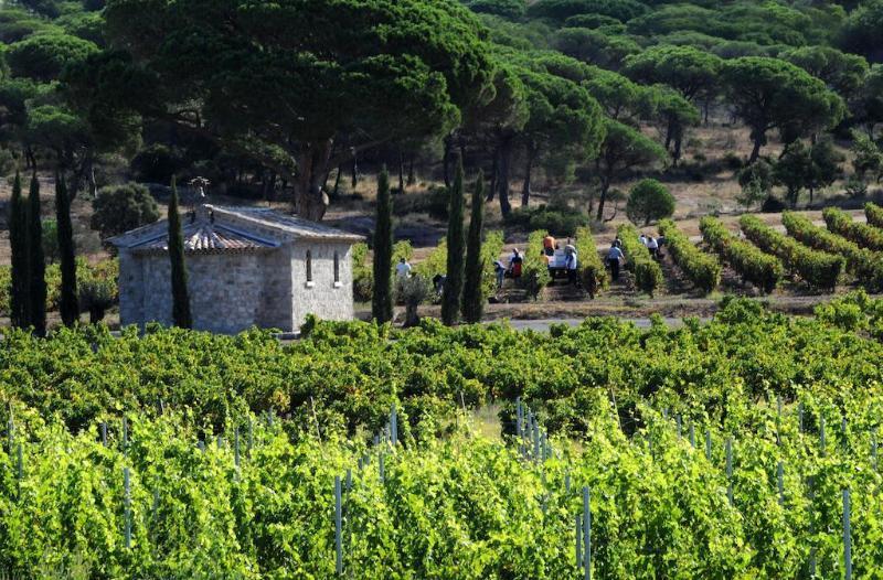 La Bastide Du Clos Des Roses - Teritoria Fréjus Zewnętrze zdjęcie